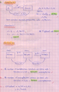 20111124-DevoirTauxDevolution-Annabelle3