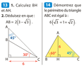 20110208-Triangles-EnonceEx13Et14Page212