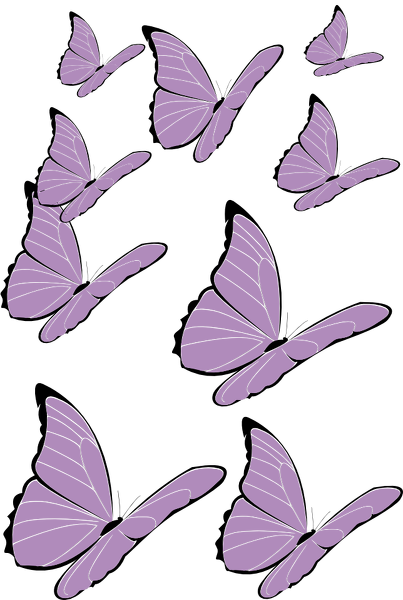 2016-09-02-papillons.png
